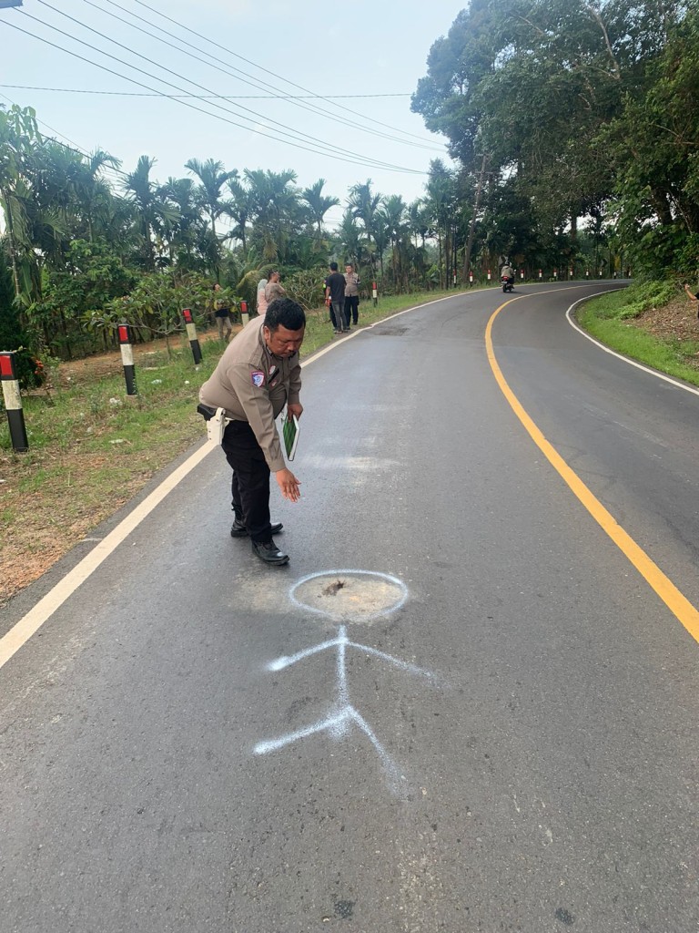 Terungkap dalam Waktu Singkat: Kasus Tabrak Lari Maut di Petaling Berhasil Diungkap dalam 2×24 Jam
