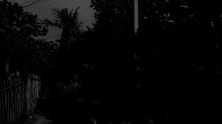 Warga Gampong Pasi Rawa Butuh Lampu Penerangan Jalan